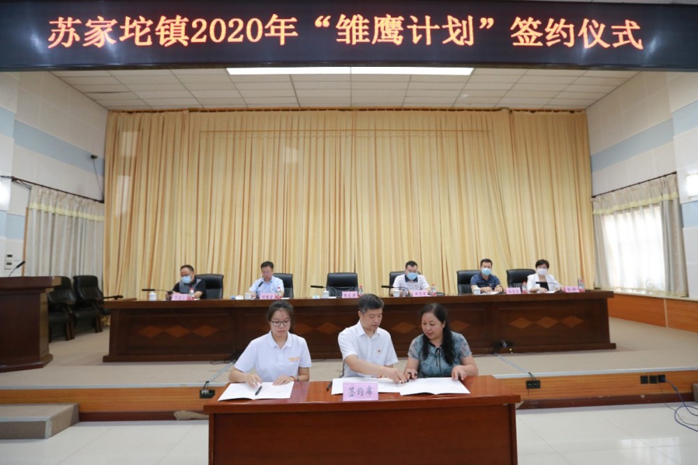 甄思雨|吸引大学生返乡就业，海淀苏家坨“雏鹰计划”又有5人签约