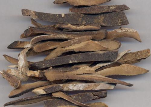 慢性咽炎的人群记得趁初秋时节及时预防复发