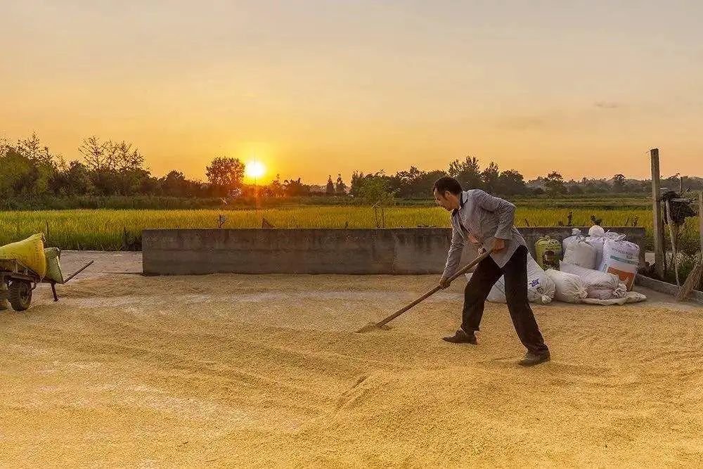 乡村人物之三:生产队长