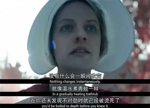 普女|杨紫被评为1分普女…女性鄙视链终极斗法太残酷了！