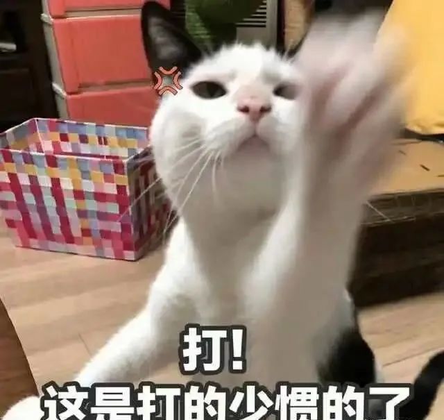 普女|杨紫被评为1分普女…女性鄙视链终极斗法太残酷了！