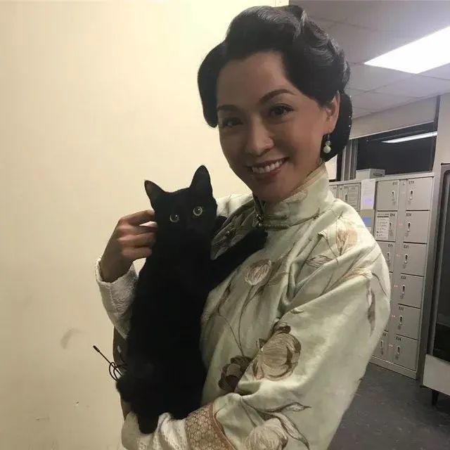 金宵大厦|恭喜！TVB剧集《金宵大厦》中“男一号”荣升哥哥，陪玩超爱宝宝