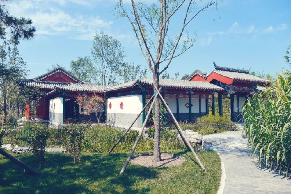绿心森林公园|探访通州又一处网红打卡地-城市绿心森林公园