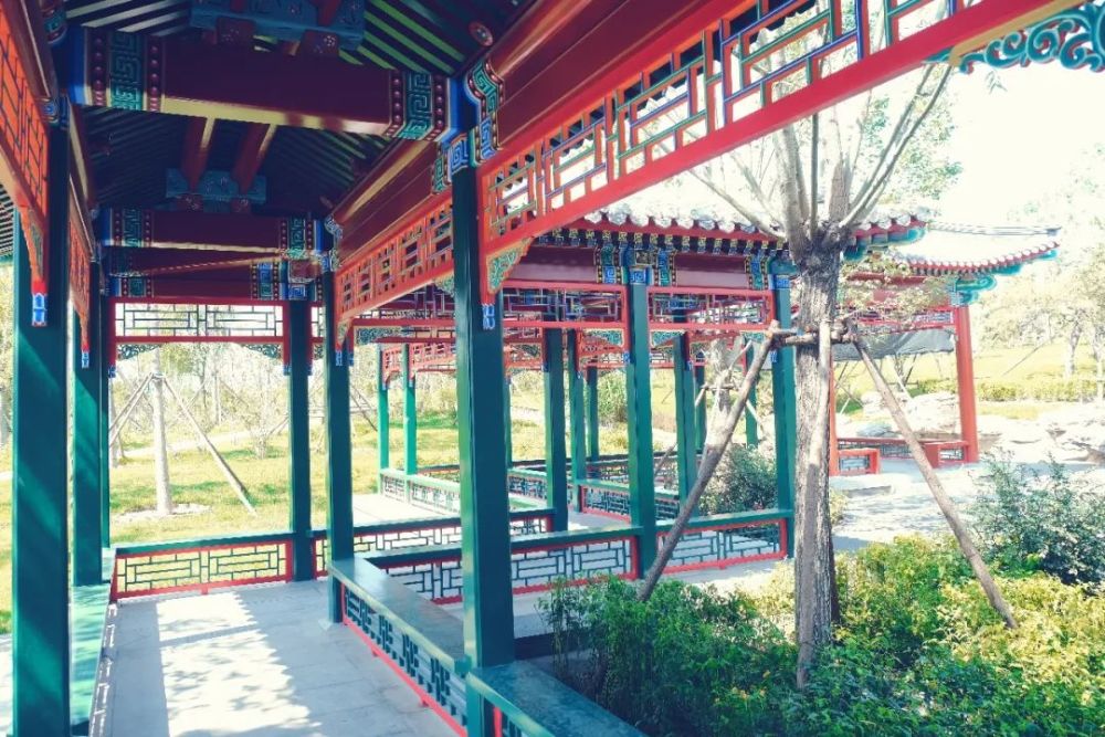 绿心森林公园|探访通州又一处网红打卡地-城市绿心森林公园