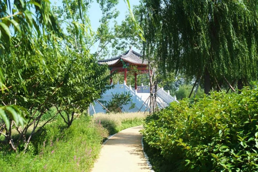 绿心森林公园|探访通州又一处网红打卡地-城市绿心森林公园