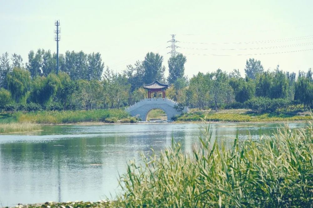 绿心森林公园|探访通州又一处网红打卡地-城市绿心森林公园