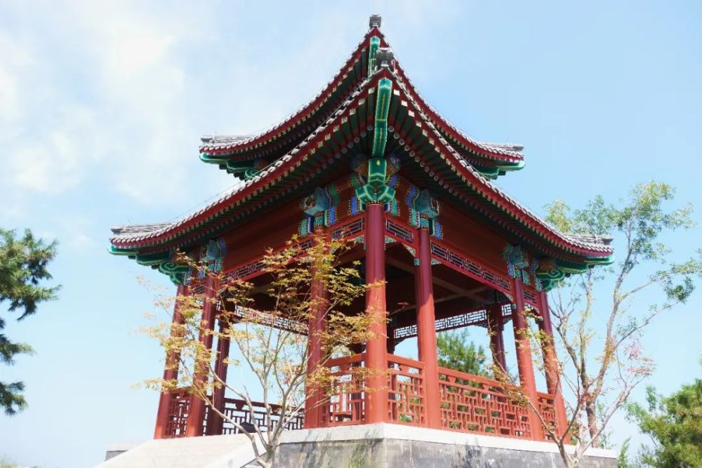 绿心森林公园|探访通州又一处网红打卡地-城市绿心森林公园