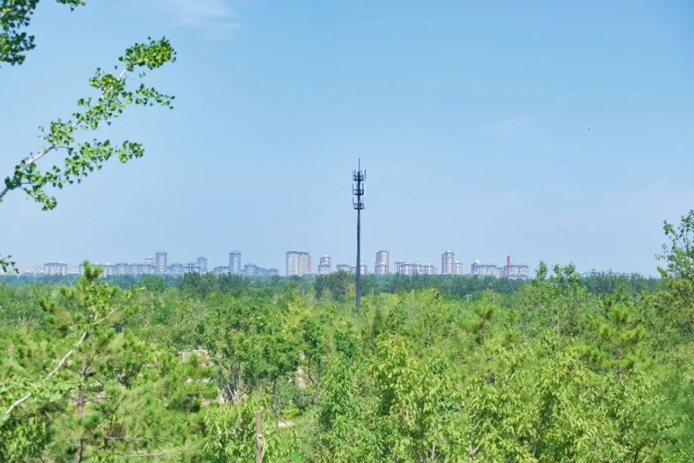 绿心森林公园|探访通州又一处网红打卡地-城市绿心森林公园
