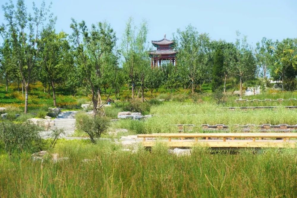 绿心森林公园|探访通州又一处网红打卡地-城市绿心森林公园