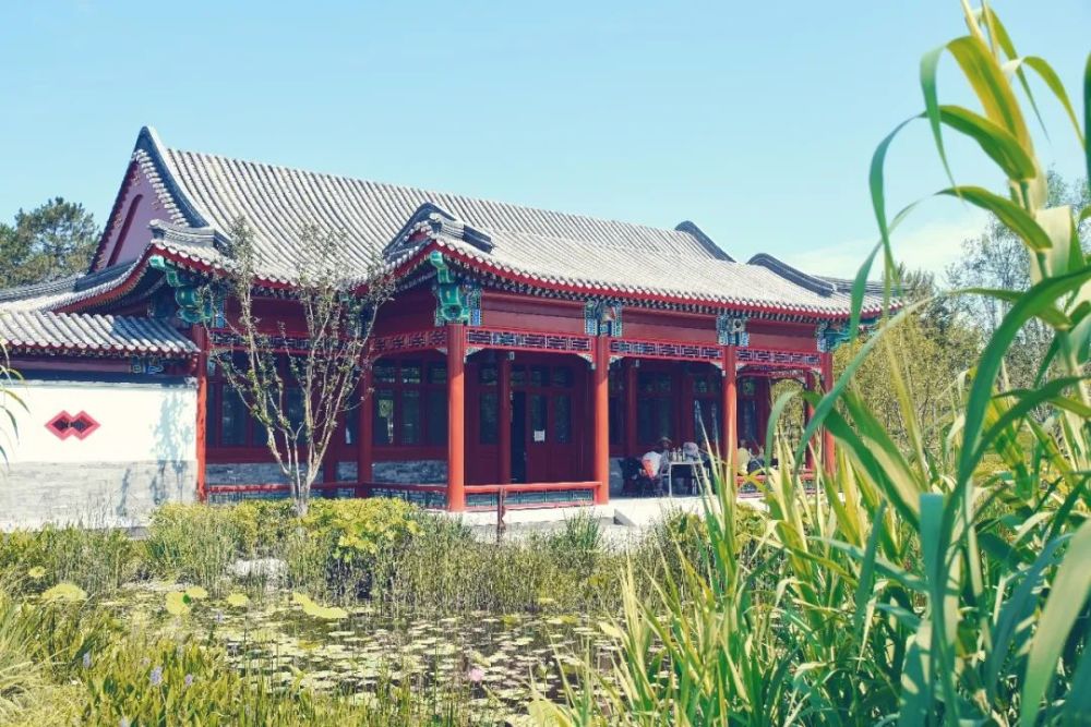 绿心森林公园|探访通州又一处网红打卡地-城市绿心森林公园