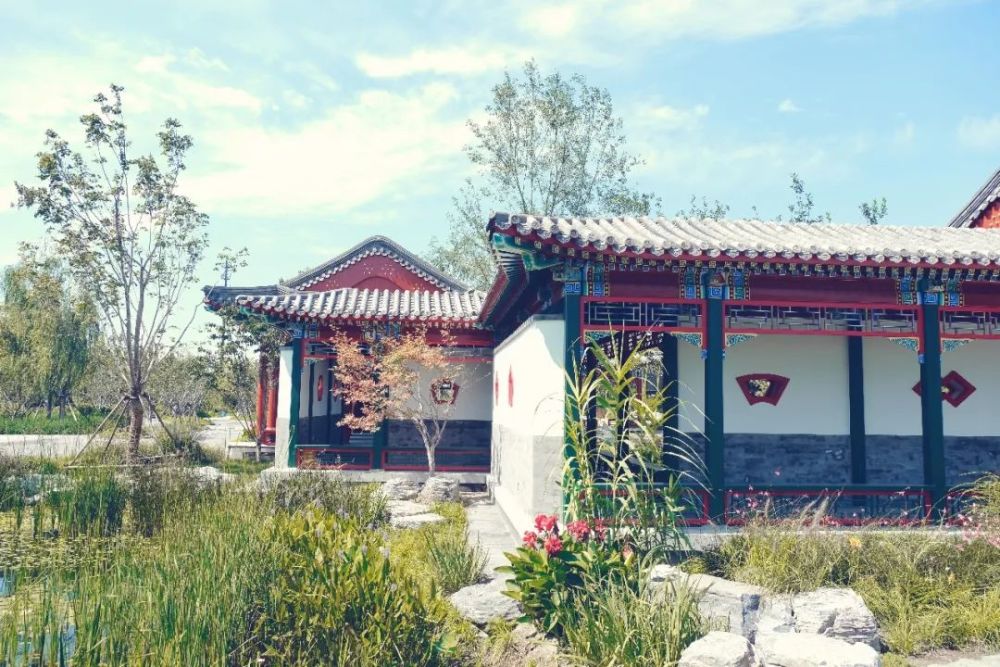 绿心森林公园|探访通州又一处网红打卡地-城市绿心森林公园