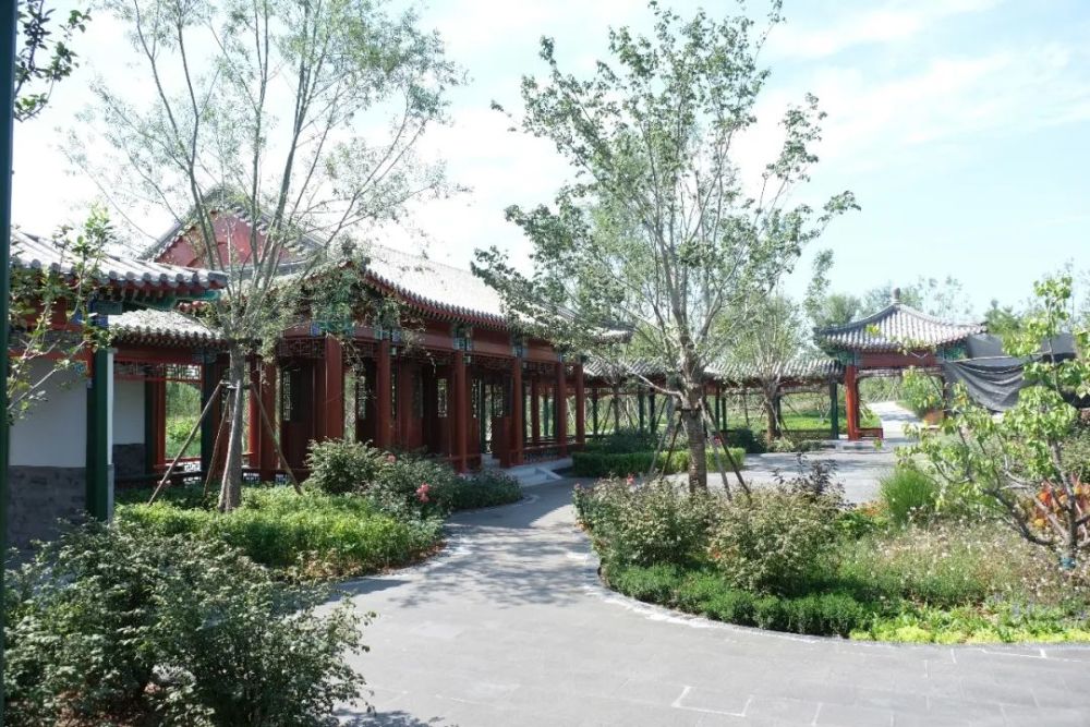 绿心森林公园|探访通州又一处网红打卡地-城市绿心森林公园