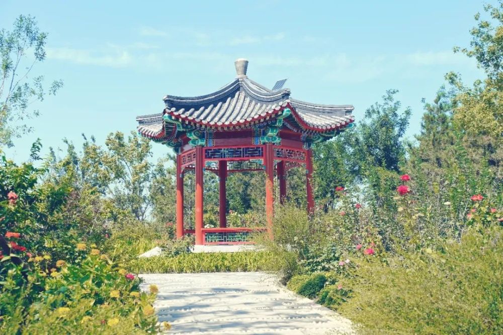 绿心森林公园|探访通州又一处网红打卡地-城市绿心森林公园