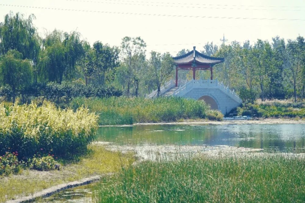 绿心森林公园|探访通州又一处网红打卡地-城市绿心森林公园