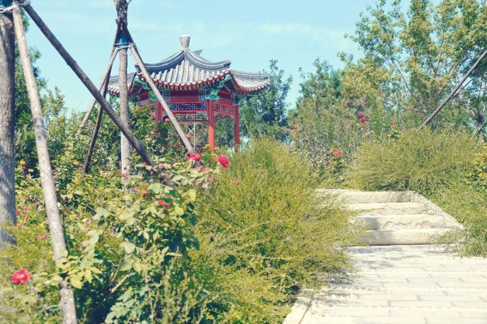 绿心森林公园|探访通州又一处网红打卡地-城市绿心森林公园