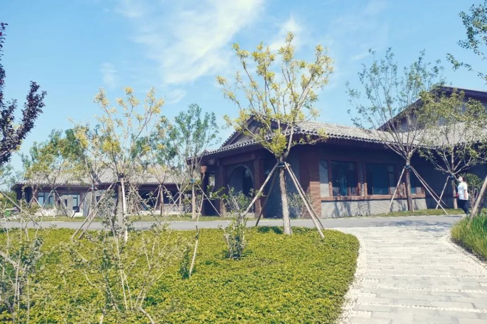 绿心森林公园|探访通州又一处网红打卡地-城市绿心森林公园