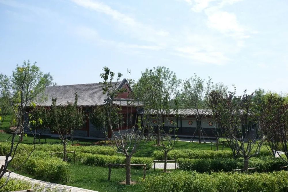 绿心森林公园|探访通州又一处网红打卡地-城市绿心森林公园