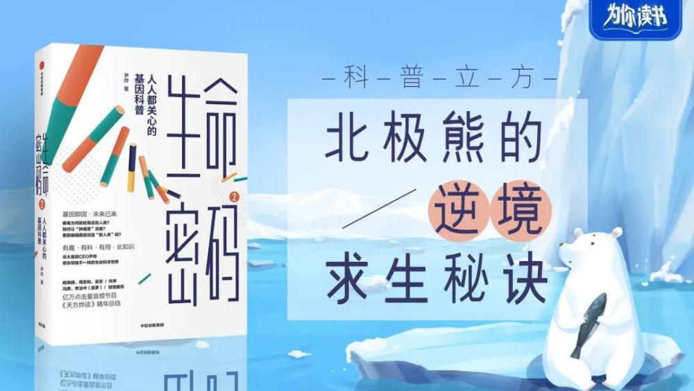 北极熊|北极熊的逆境求生秘诀竟是——月半？