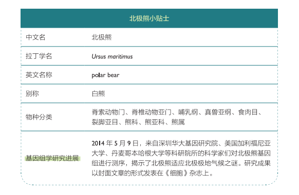 北极熊|北极熊的逆境求生秘诀竟是——月半？