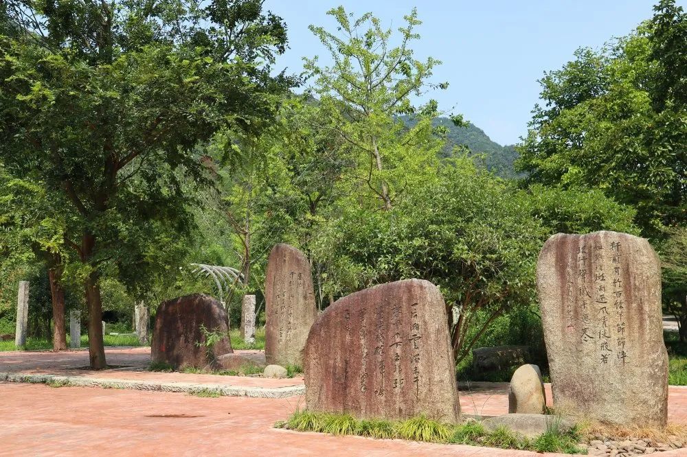 富阳这个村又添新荣誉!