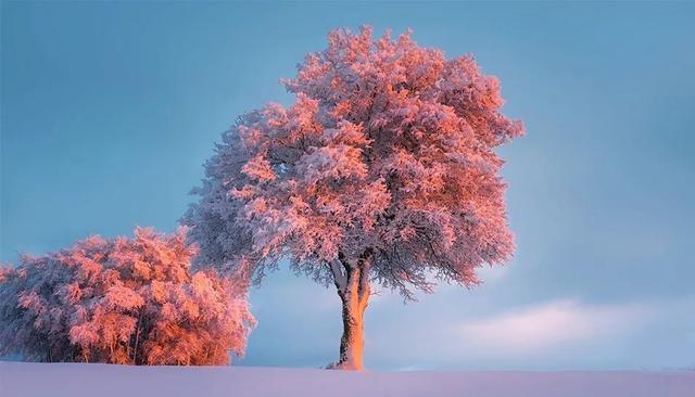 秋风|中小学生收藏！关于描写秋天的诗词、好句、好段，不可错过的作文素材