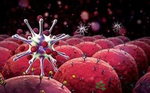 肿瘤|研究人员发现机械力量如何将肿瘤从良性转化成恶性