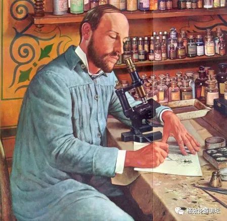 大脑|人类为什么这么聪明？大脑神经纤维总长度能绕地球四周半