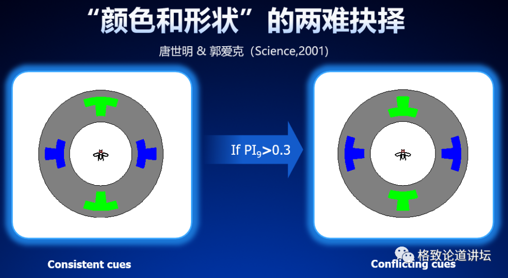 大脑|人类为什么这么聪明？大脑神经纤维总长度能绕地球四周半