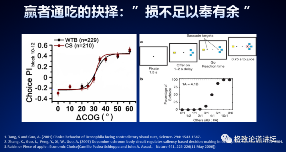 大脑|人类为什么这么聪明？大脑神经纤维总长度能绕地球四周半