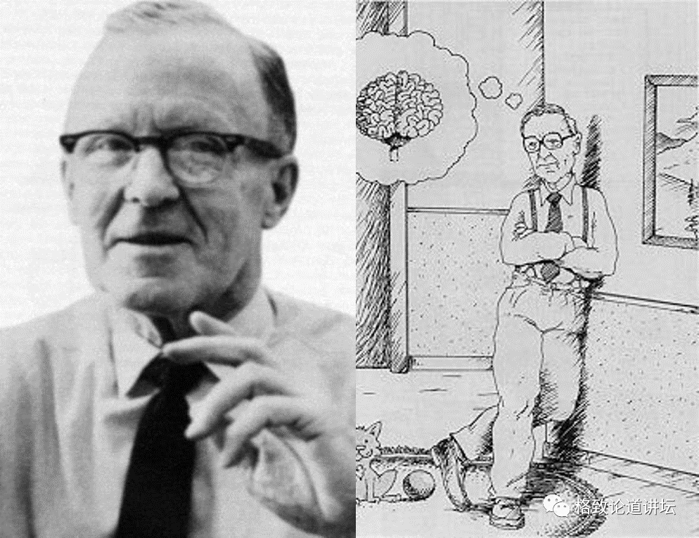 大脑|人类为什么这么聪明？大脑神经纤维总长度能绕地球四周半