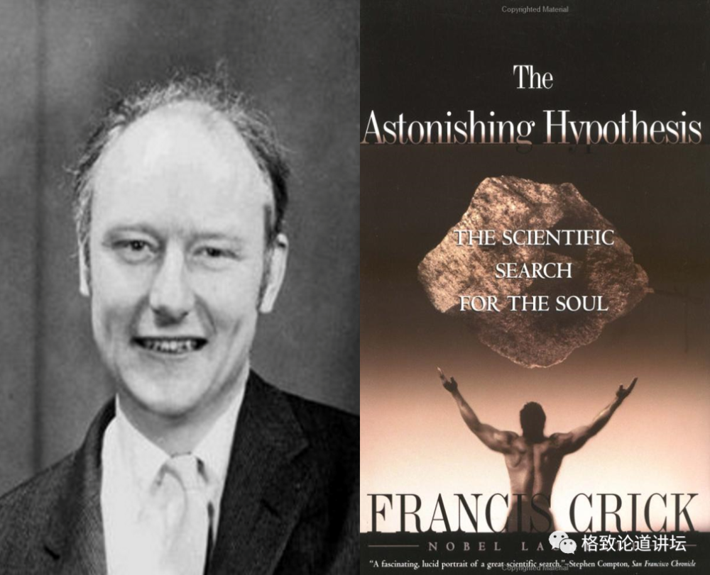 大脑|人类为什么这么聪明？大脑神经纤维总长度能绕地球四周半