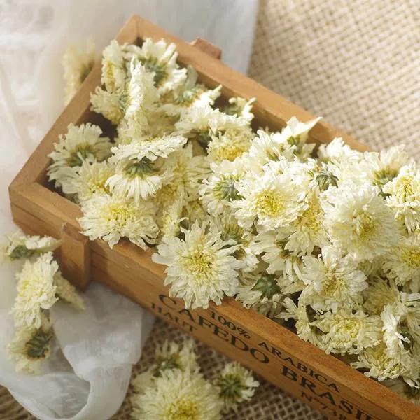 不同菊花 功效不同 喝对才养生 养生 菊花 黄菊花