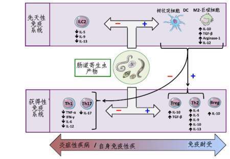 伯内特|医学史上的9月3日：诺奖得主免疫学家伯内特出生