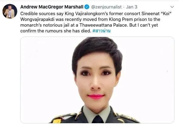 钮钴禄·诗妮娜|从前的贵妃已经死了，如今回来的是钮钴禄·诗妮娜
