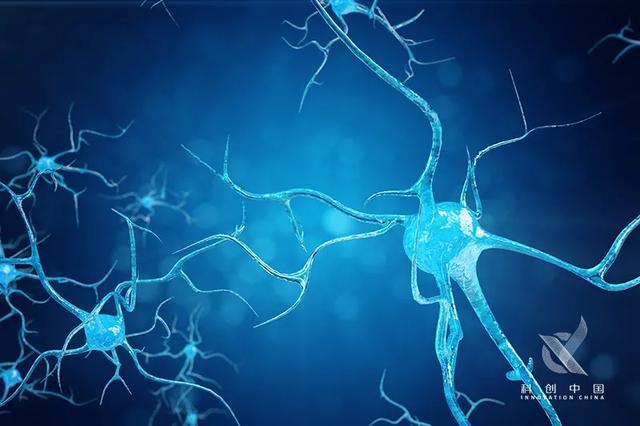 脑机接口|被马斯克吹上风口的脑机接口：“人机共存”是在玩火？