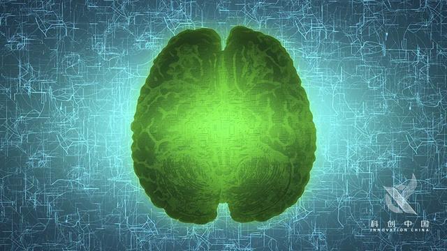 脑机接口|被马斯克吹上风口的脑机接口：“人机共存”是在玩火？