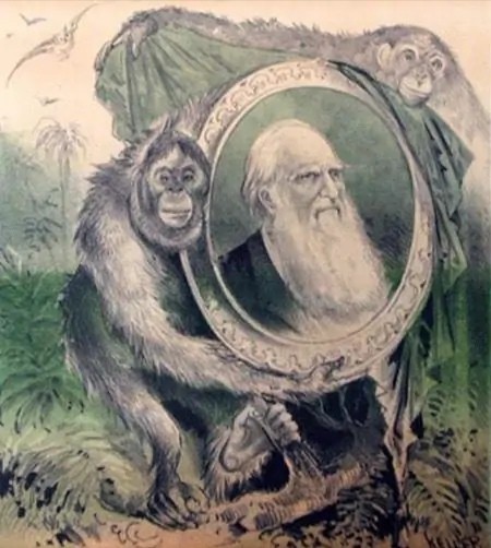 古代猿猴变人图片图片