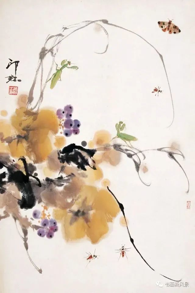 花鸟画|这位老先生的花鸟，色彩超美！