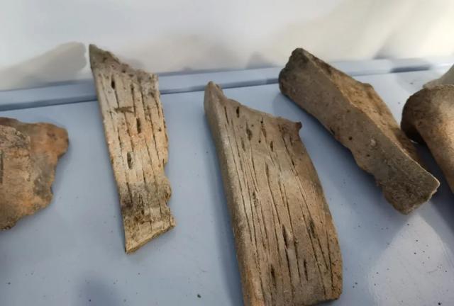 余新西|又发现一处，挖出不少稀罕物件！