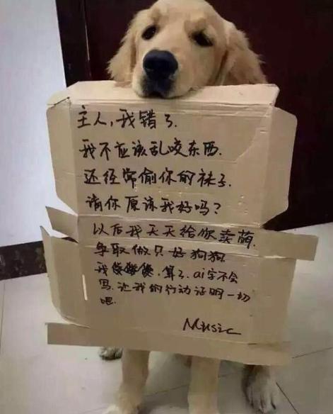 如果这是一只二哈的话,应该不会这么听从主人的话道歉的点击播放 gif