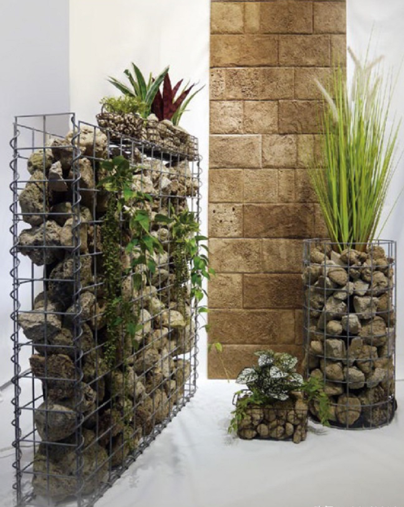 丢了家里的发财树吧 现在流行这种简约的绿植 腾讯新闻