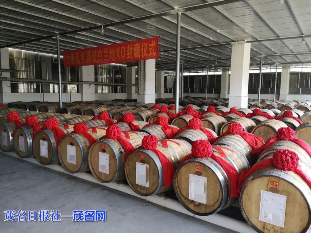 茂名将打造大唐建筑风格文旅酒庄?