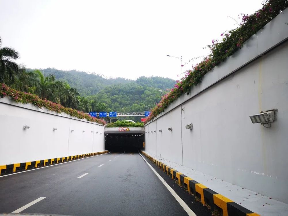 明珠隧道,柠溪隧道,南村隧道,翠微隧道,北岭隧道,洪湾隧道及南湾隧道