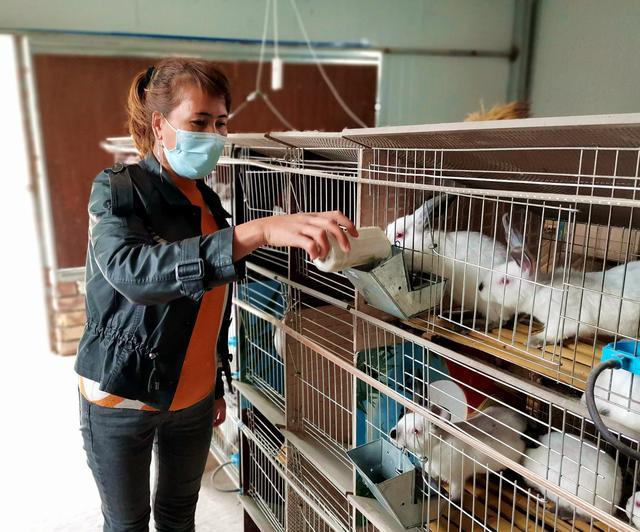 农村养兔需要什么手续 在农村养兔子需要什么条件