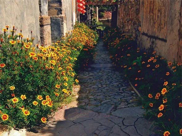 门头沟区|特色乡村游去哪玩？来门头沟这条线路准没错