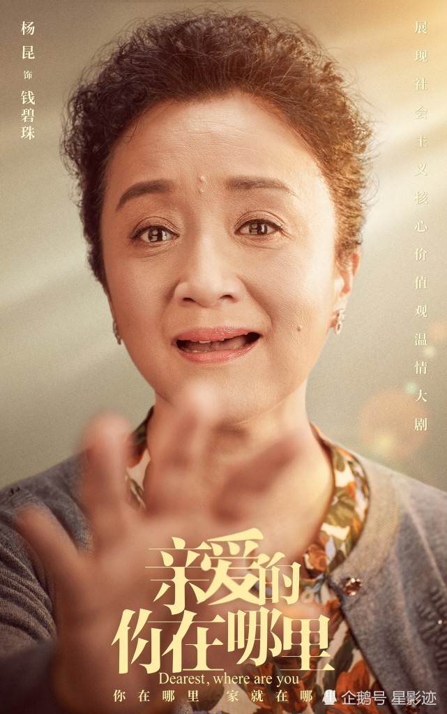 王雷 秦海璐主演以寻找孩子为主题电视剧《亲爱的你在哪里》角色海报