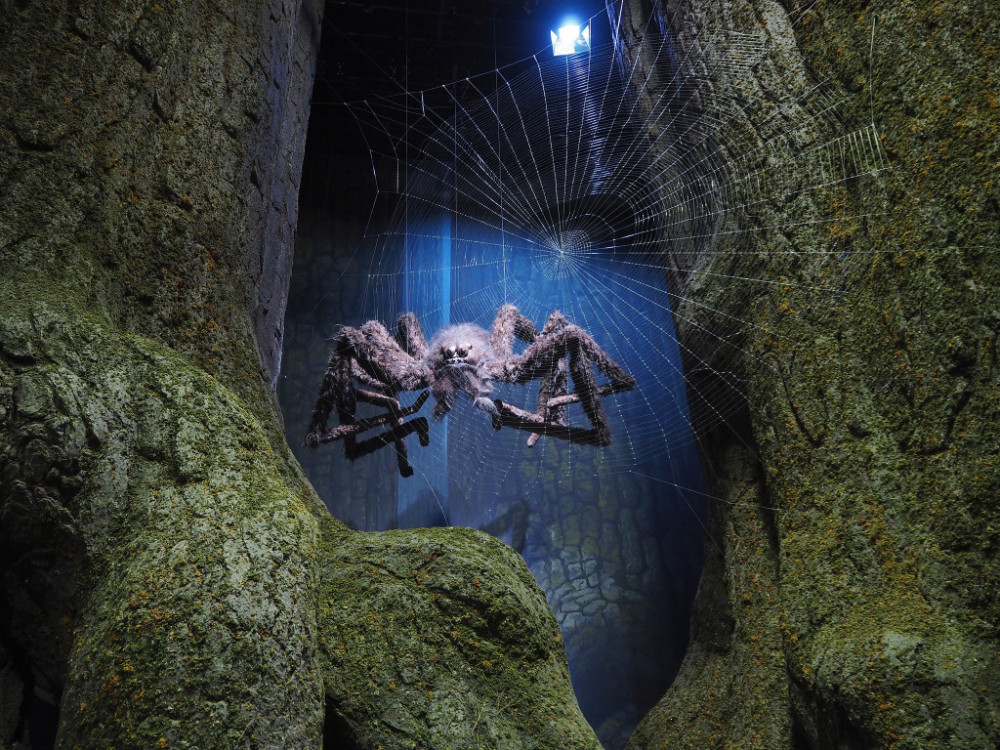 八眼蜘蛛具有8只黑色的眼睛,如果某个眼睛失明会呈现白色,平行看过去