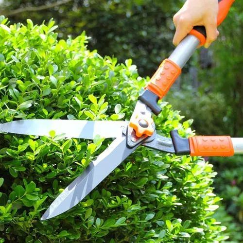 除草剪刀专门用于修剪缝隙角落里的青草.