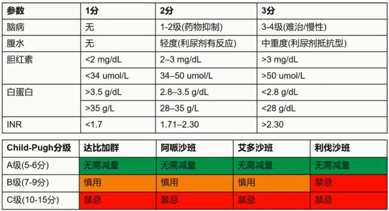 聚焦房颤抗凝,共话指南与研究进展