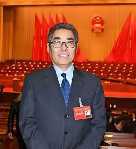 【人大代表风采】王琨:以润物细无声的姿态呵护未成年人成长